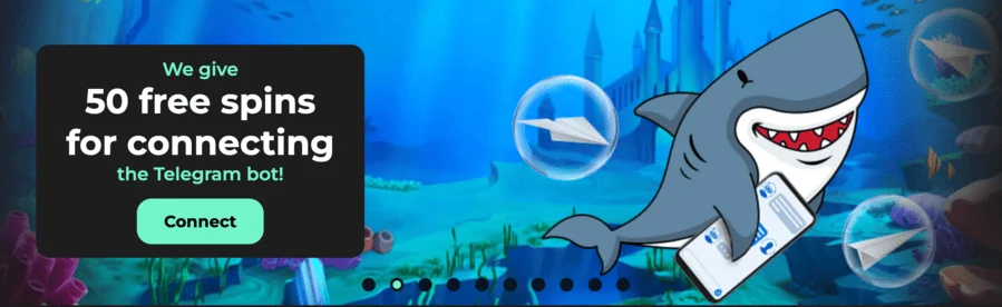 Admiral shark casino